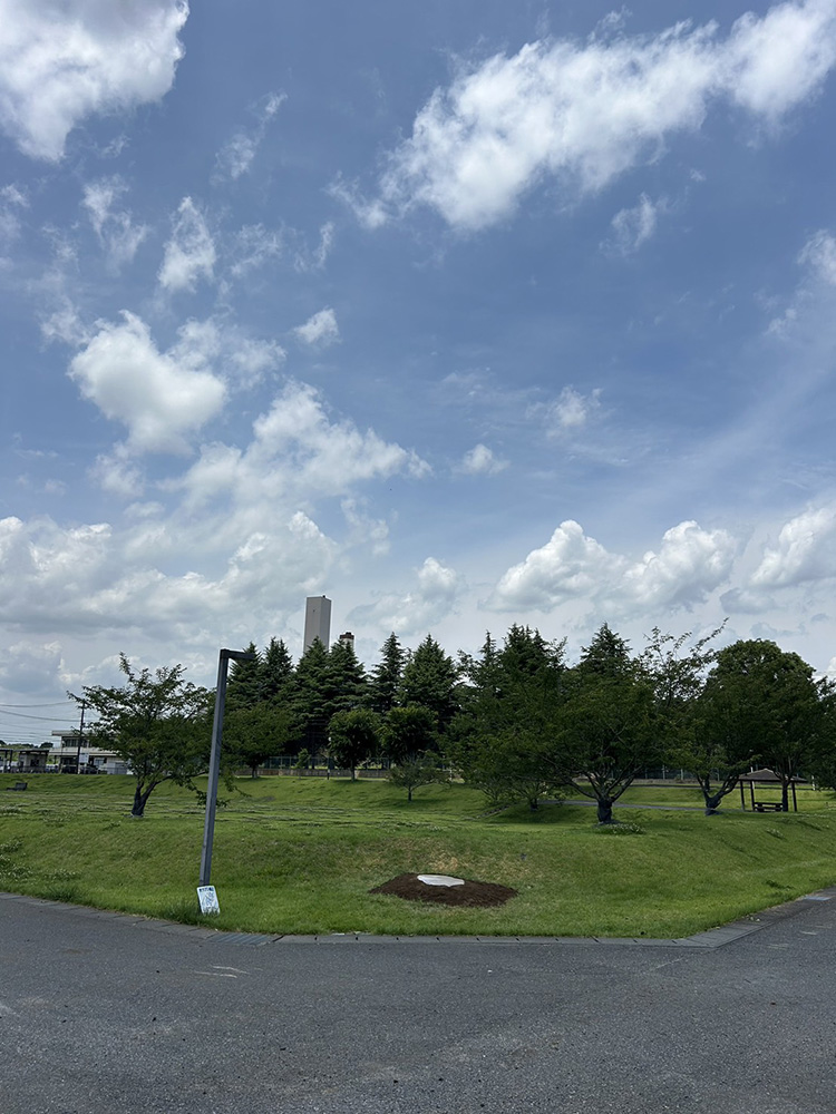 特殊伐採実績２